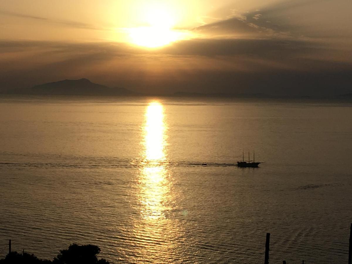 Villa D'Amare Capri View 马萨鲁布朗斯 外观 照片