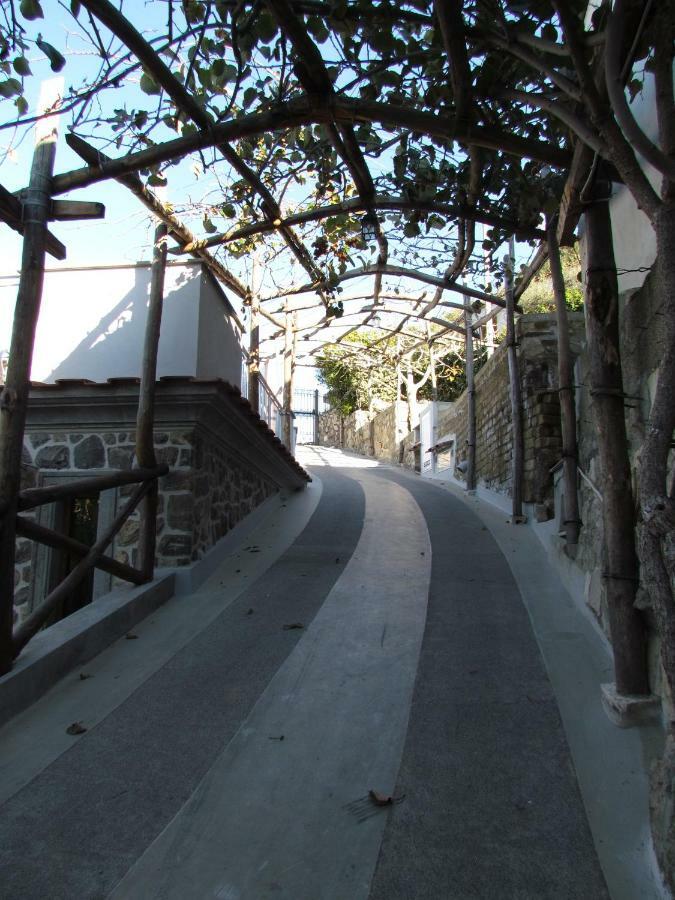 Villa D'Amare Capri View 马萨鲁布朗斯 外观 照片